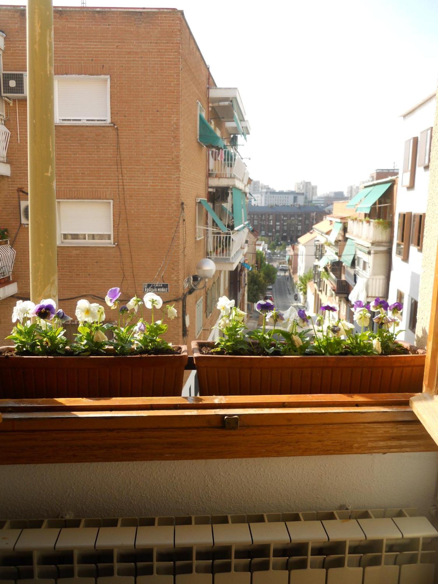 Hostal El Descanso — Fotos 2